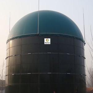 Anaerobic Double Membrane Gas Holder PVC PDFE Biogas Gas Holder