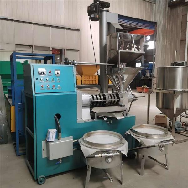 High Quality Sunflower Oil Making Machine Peanut Oil Production Line Sesame Oil Press Machine