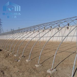 Commercial Plastic Film Galvanized Transparent Tunnel Plastic Greenhouse