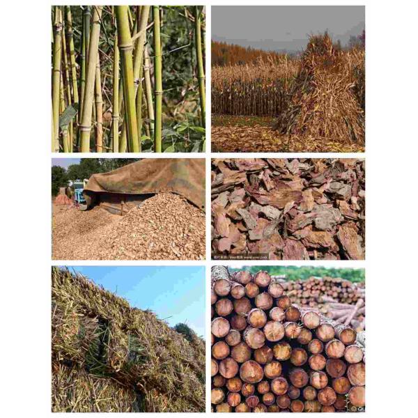 2-3tph Ring Die Pellet Machine Whole Biomass Pellet Production Line With CE