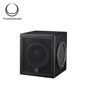 10  Active subwoofer box bass loudspeaker 200W TR10BA