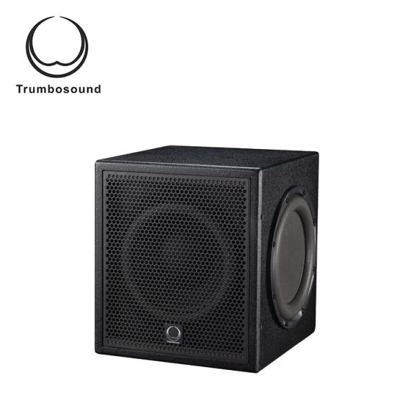 Buy 10 " Active subwoofer box bass loudspeaker 200W TR10BA at wholesale prices