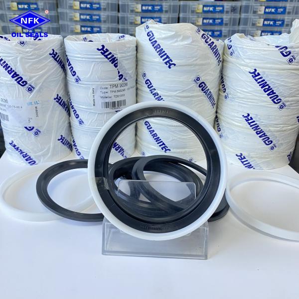 Buy TPM NBR Combination Oil Seal at wholesale prices