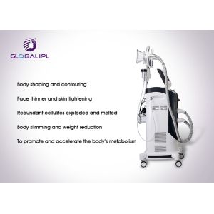 Rf Cryolipolysis Machine Body Shaping Fat Freezing Machine ISO13485 1000W