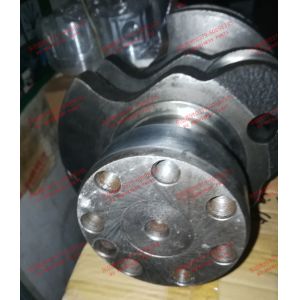 YTO diesel engine parts YTR2108 double cylinder crankshaft