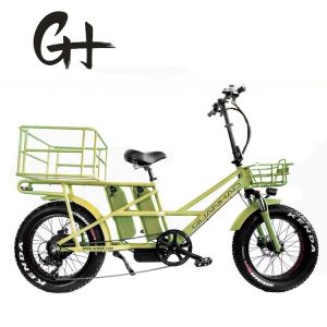Quality 48V Disc Brake Dual Batteries Fat Snow Big Tire Electric Cargo Bicycles for Family 2 for sale