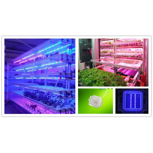 China Factory High Power LED Diode 20w Blue 450nm 455nm 460nm 470nm