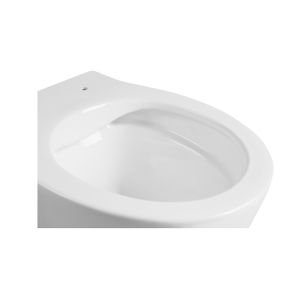 Chaozhou Popular Styles Concealed Cistern Antibacterial Rimless Wall Flush