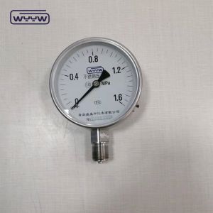 Customized Stainless Steel Pressure Gauge 100mm Bourdon Tube Manometer