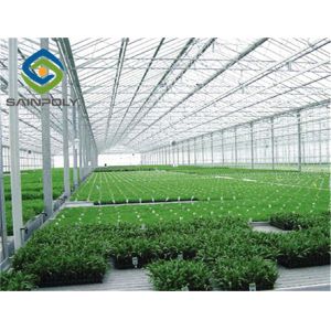 10.8m Cucumber Glass Greenhouse Intelligent Automatic Control