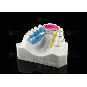 Customizable Spring Hawley Retainer Removable Teeth Position Retention