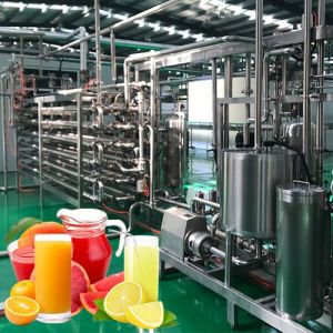 Citrus Processing Line Handles Oranges Lemons Makes Juice Concentrates Oils