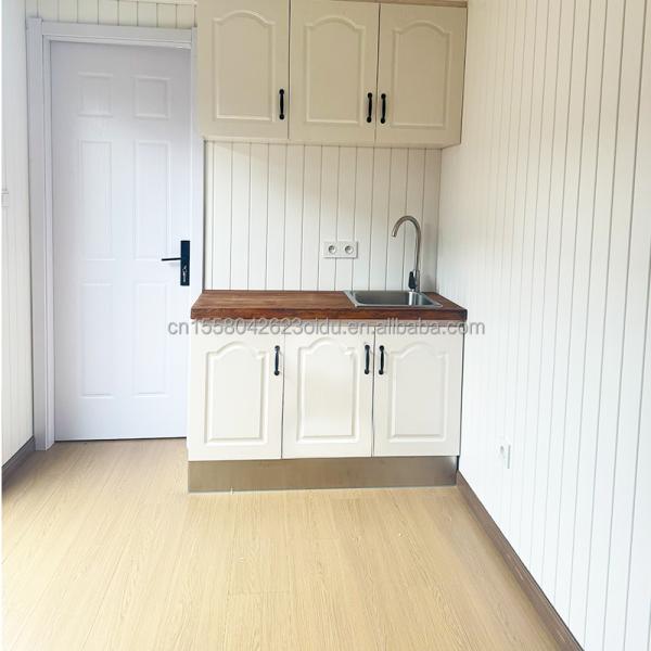 EU 20ft Wooden Houses Prefabricated Houses Galvanized Steel Structure Modern Luxury Prefab House for in Customized Color