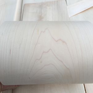 Maple Wood Veneer Natural Veneer Wood Sheets Maple Wooden Decorative Veneers for