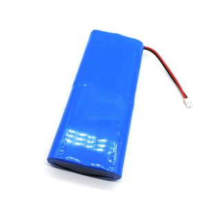 Quality Rechargeable 5000mAh Lithium 12V 18650 Battery Pack for sale