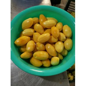 Heat Pump Dryer for drying mango