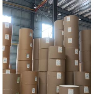 Strong moisture and grease barrier Durable Packing paper PE/PLA Coated Cup/bowl