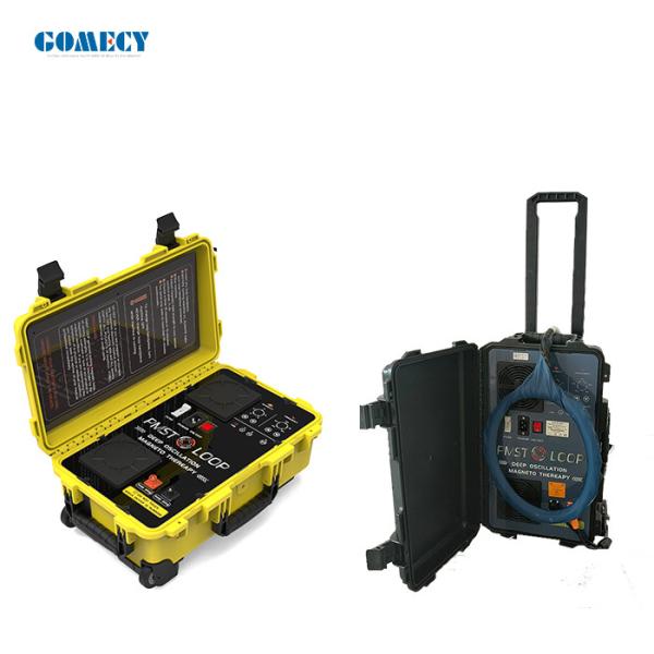 Pulse Frequency 2HZ PEMF Magnetic Therapy Machine With 30CM Inner Diameter