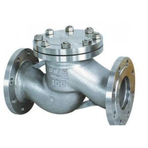 Horizontal Installation Stainless Steel Lift Type Check Valve NPS2'-36' Class