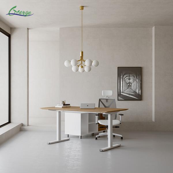 Adjustable Height Stand Up Desk Uplift Standing Desk with 4 Memory Presets and