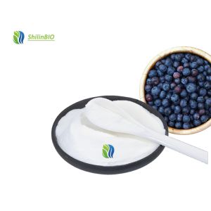 Blueberry Powder Bulk
