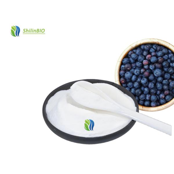 Buy Blueberry Powder Bulk at wholesale prices