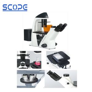 Buy cheap BDS400-FL Inverted Biological Microscope Epifluorescence Illumination from wholesalers