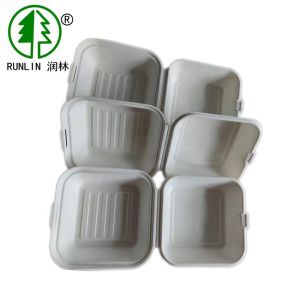 China Take Out Burger Bagasse Clamshell Box on sale