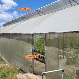 Galvanized Steel Tunnel Greenhouse 2.6-3.5m Height with 200 Micron Film