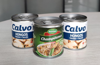 Buy Brine Preservation Salty Canned Champignon Mushroom at wholesale prices