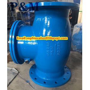 BS5153 cast iron swing check valve