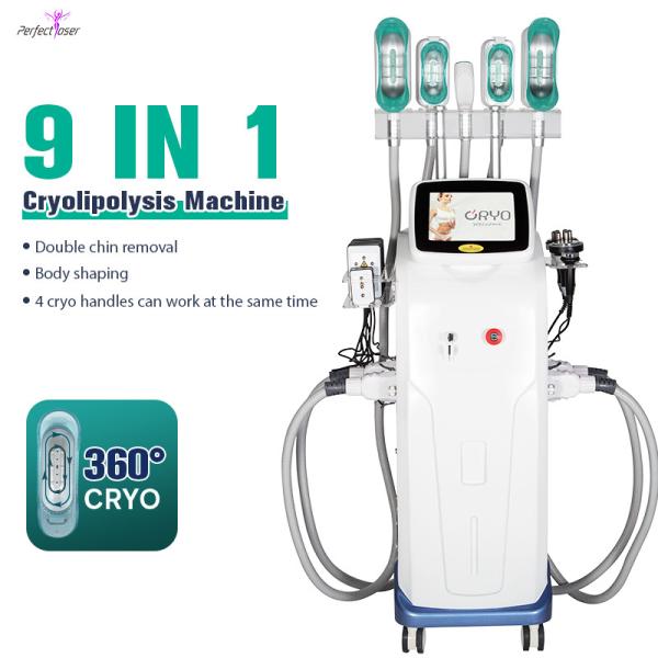 Buy 360 Cryolipolysis Slimming Machine Coolsculpting Weight Loss 0kpa - 100kpa at wholesale prices