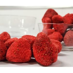 Stainless Steel Vacuum Freeze Drying Machine Automatic Quick Freezing Lyophiliza