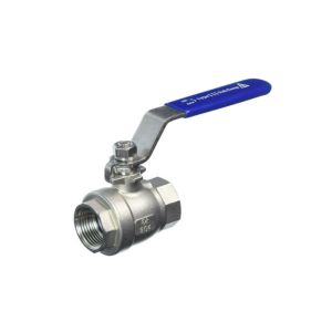 Stainless Steel 304 316L Straight Type Thread BSPT NPT 2 Pieces Ss Ball Valve