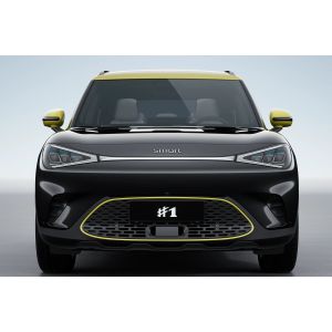 Go Green with the Mercedes Electric Car Smart1 The Ultimate Urban Mobility