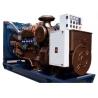 1800 RPM Biogas Cogeneration Combined Heat And Power BHKW 60KW 75KVA 60Hz for sale