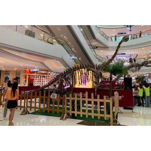 Quality Weather Resistant Simulation Dinosaur Fossil Model For Museum Exhibition for sale