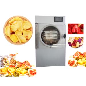 Automatic Protectio Home Food Freezer Machine Mini Household