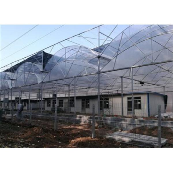 Buy Intelligent Commercial Greenhouse Kits Hot Galvanized Skeleton Designed at wholesale prices
