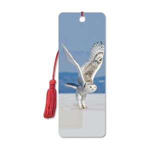 CMYK 15.6X5.3cm Birds 3D Lenticular Bookmark With Tassels