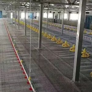 66kg Galvanized Chicken Feeder