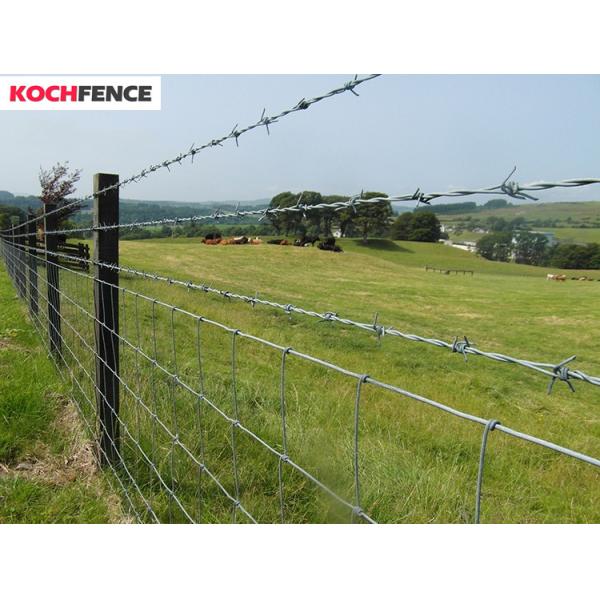 Anti Rust Galvanized Barbed Wire , Military Barbed Wire Convenient Installation
