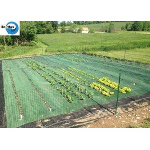 Quality UV Treated Agriculture Weed Control Mat Black Plastic Mulch Ground Cover Weed Barrier Fabric Anti Grass for sale