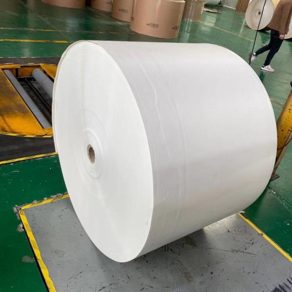 Buy 260Gsm 280Gsm PE Laminated Paper Flexo Polyethylene Coated Paper at wholesale prices