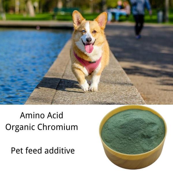 New Animal Feed Additive Organic Chromium Amino Acid Chelate Chromium Picolinate mineral supplement