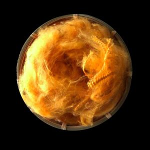 China 1.4D×38mm Solid Dope Dyed PSF Fiber Non Siliconized For Spinning on sale