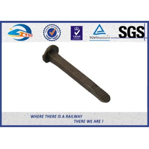 Customized Track Spikes Screw Track Spikes Railway Fasteners
