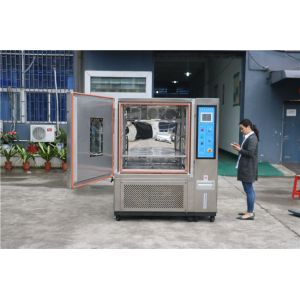 Constant Temperature And Humidity Test Chamber 408L For Building Materials