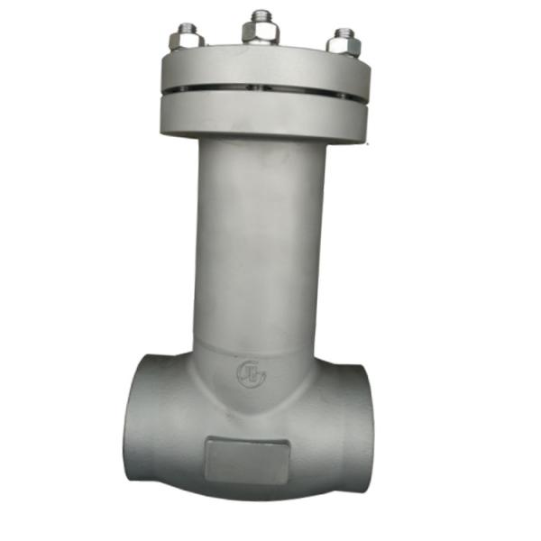 Buy CDH61F-40PB Stainless Steel 304 Cryogenic Check Valve at wholesale prices