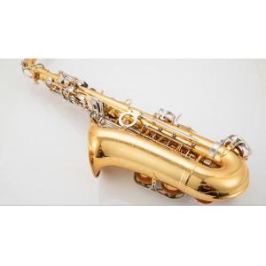 Saxophone Alto, Professional Saxophone , Saxophone Manufacturer Instruments